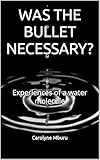 WAS THE BULLET NECESSARY?: Experiences of a water molecule