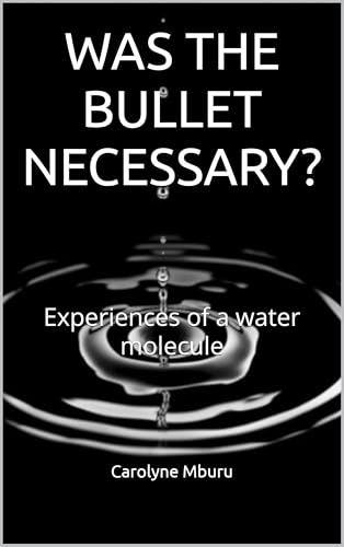 WAS THE BULLET NECESSARY?: Experiences of a water molecule