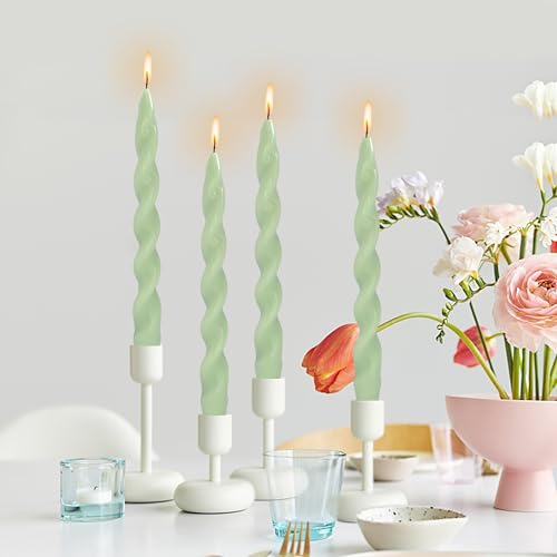 10inch e[p[Lh 4 XpCLh 낤 E\N EFfBO/NX}X//z[CeA Lh Mtg (green)