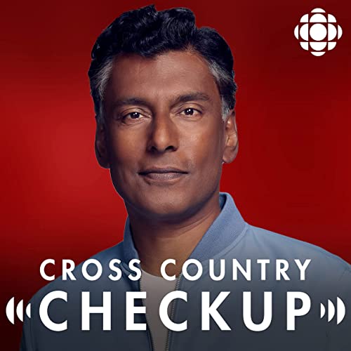 Ask Me Anything: Ukraine Podcast Por  arte de portada