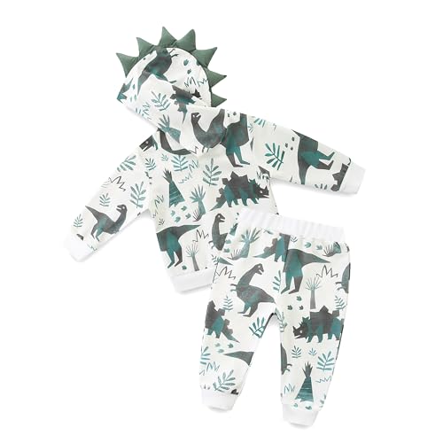 Image of Babymine Toddler Infant Baby Boy Dinosaurs Hoodie Pullover Toddler Boy Kids Hoodie Set Cotton Fall Spring Pants Set Green, 3-6 Months
