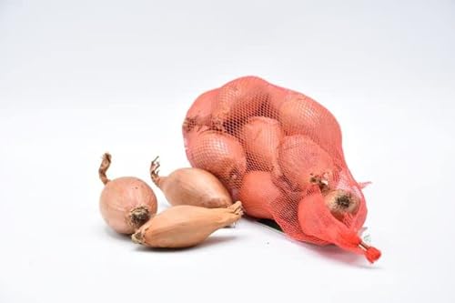 Scalogno Secco 4 confezioni da 500 gr