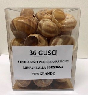 36 GUSCI STERILIZZATI DI LUMACHE HELIX TIPO GRANDE