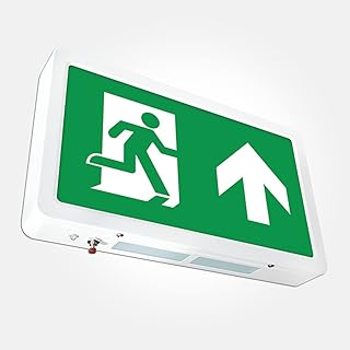 LEDBRITE LED Emergency Exit Sign IP20 Maintained/Non-maintained 4W Self Testing LiFePO4 Battery Down Arrow