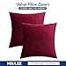 MIULEE Pack of 2 Velvet Soft Solid Decorative Square Throw Pillow Covers Christmas Cushion Case for Sofa Bedroom Couch,20x20 Inch Wine Red
