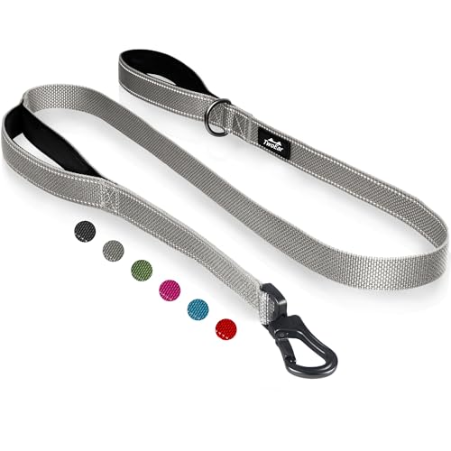 TwoEar 4FT 1IN Strong Gray Dog Leash with 2 Padded Handles, Traffic Handle Extra Control, Comfortable Soft Dual Handle, Auto Lock Hook, Reflective Walking Lead for Small Medium and Large Dog
