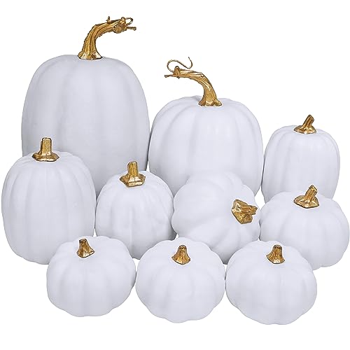 Winlyn 10 Pcs Assorted White Artificial Pumpkins Harvest White Pumpkins Decorative Pumpkins Foam Rustic Fall Pumpkins for Autumn Fall Wedding Thanksgiving Halloween Props Home Seasonal Mantel Décor