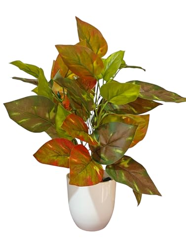 Image of Natural Looking Artificial Money Plant /Tree with Pot | Ornamental Plant for Interior Decor | Home /Shop /Office Decor (Orange)