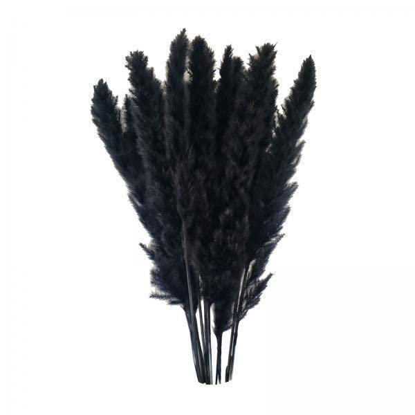 CALANDIS™ 3x15x Dried Pampas Grass Phragmites Reed Flower Bunch Home Wedding Decor Gift Black | Floral Dacor | Home Dacor-image-40