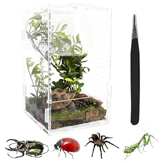 Mtbricey mini terrarium acrylique 12 x 11 x 20 cm avec pince