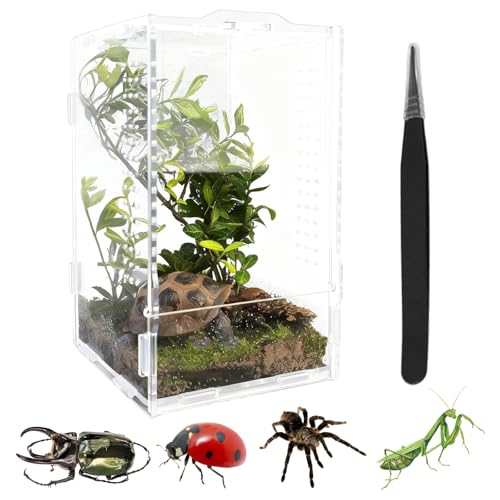 Terrarium 12x12x20 cm Acryl Terrarium mit Komplettset inklusive Futterpinzette und Pipette für Springspinnen Schnecken Reptilien Insekten als Vivarium oder Faunarium