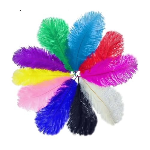 10pcs Colorful Ostrich Feathers Long 8-10inch (20-25cm) Natural Feathers for Crafts Carnival Masks Brazilian Clothing Decoration Party Wedding DIY Feathers Headwear Making(Colorful 8-10inches)