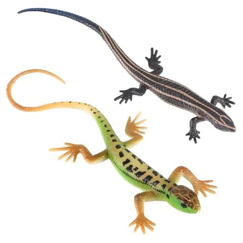 Figurine Lézard JSMTKJ Cover