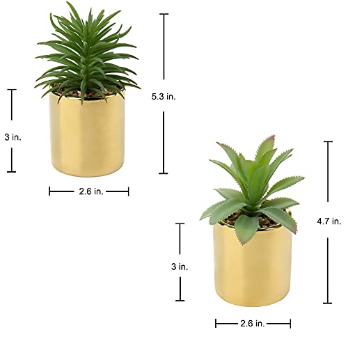 Briful Small Artificial Succulents In Pots Set Of 2 Realistic Faux Succulents Plants With Gold Ceramic Pots Cute Mini Fake Plants Decor For Modern Home Table Office Desk Bathroom Shelf Decoration #TOP5