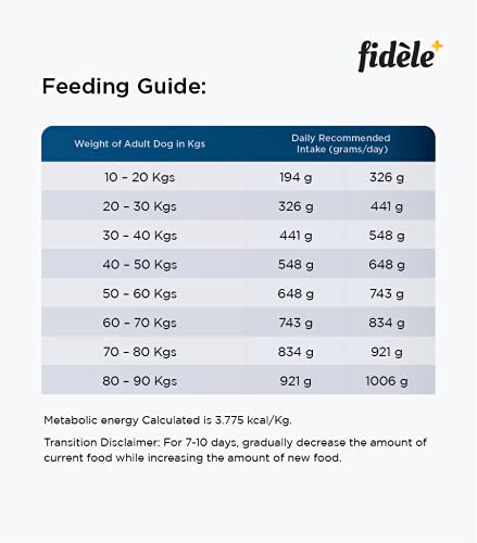 Image of Fidele+ Adult Large Breed Dog Food | 200g | Glucosamine for Joint Support | Omega 3 & 6 | High Protein | Muscle Strength & Coat Health