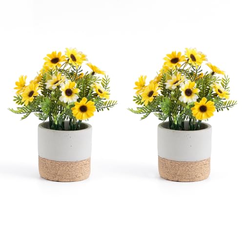 Fuxdre Artificial Potted Plants with 2 Pack, The Daisy Flower