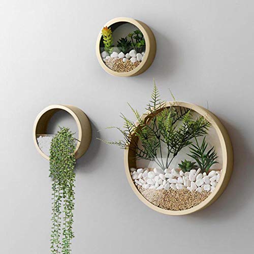 Vevlu 3 Pack Set Wall Planters,Modern Round Glass Wall Planter Succulent Planter Circle Iron Hanging Planter Vase For Herb,Small Cactus Perfect For Balcony, Room And Patio Decor (Gold) #TOP5