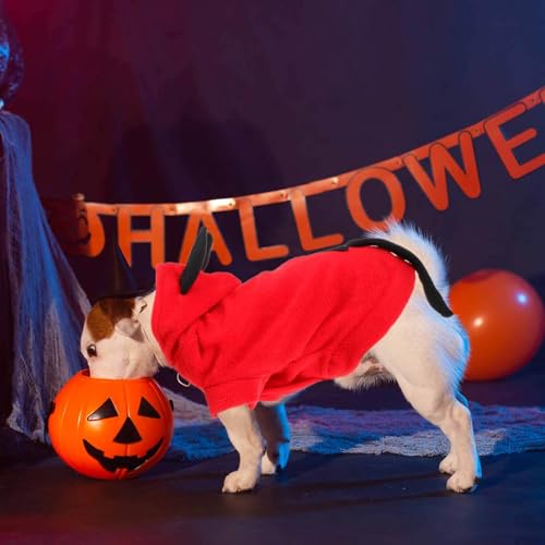 Disfraz Demonio Halloween para Perros Talla L miniatura 3