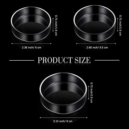 Patelai 3 Pieces Aquarium Shrimp Feeding Dish Glass Fish Clear Tank Feeding Bowl Food Bowl Freshwater Tray Feeder - Image 3