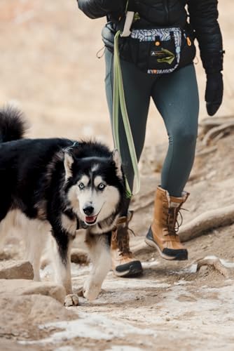 OllyDog Bolsa para O Dia No Interior, Pochete, Bolsa para Petiscos para Cães, Mãos Livres para Trein