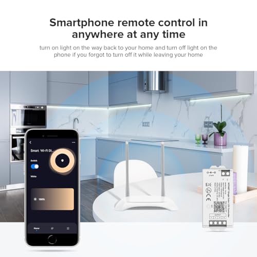 Image of BTF-LIGHTING C01W WiFi Controller for 2pin Single Color (+V -V) LED Strip | PWM dimmer for 5050SMD /COB LED, Compatible with Alexa /Google Home /Smart Life APP, Works with WR02RF RC01RFB Remote, DC12V /24V