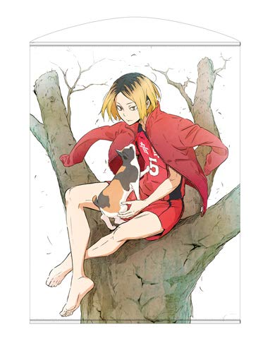 Amazon.co.jp: ハイキュー!! TO THE TOP 孤爪研磨 100cm タペストリー