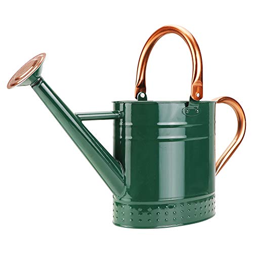 Megawodar 1 Gallon Metal Watering Can with Removable Spout, Nice Galvanized Steel Water Can with...