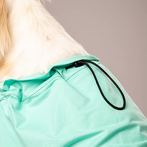 Image of HUFT Adopted and Adored T-Shirt for Dog - Light Blue - S