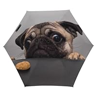Dgsxynth Folding Umbrella, Cute Pug Dog Umbrella,5 Fold Travel Umbrella for Windproof, Rainproof
