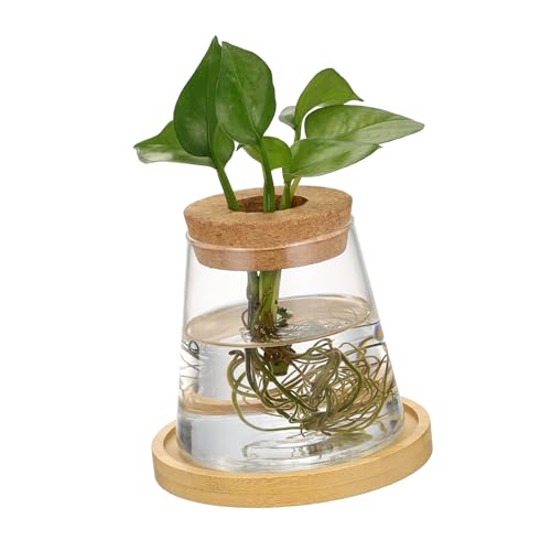POPETPOP Jarrón De Vidrio Hidropónico para Propagación De Plantas Estación De Terrario Decorativa para Escritorio Soporte Versátil para Cultivo De Plantas Interiores y Exhibición