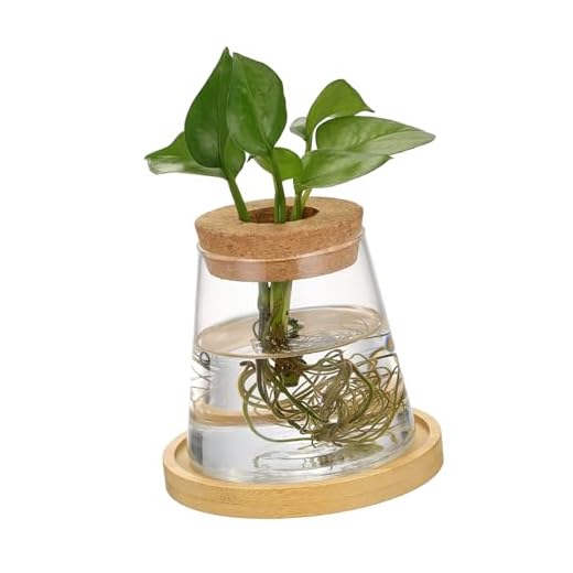POPETPOP Jarrón De Vidrio Hidropónico para Propagación De Plantas Estación De Terrario Decorativa para Escritorio Soporte Versátil para Cultivo De Plantas Interiores y Exhibición