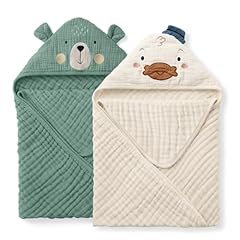 Smart Bear & Dapper Duck