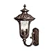 Acclaim 3851BW Augusta Collection 3-Light Wall Mount Outdoor Light Fixture, Burled Walnut
