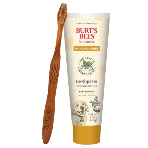 Burt's Bees Manuka Honey Peppermint Puppy Dental Kit, 2.5 Oz