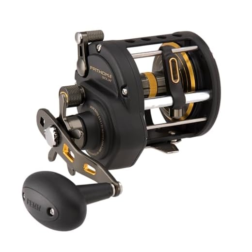 Penn Fishing FTHII30LW Spinning Rod & Reel Combos, Black Gold (1481311)