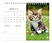 Kittens | 2026 7.5 x 6 Inch Monthly Double-View Easel Desk Calendar | BrownTrout | Animals Cats Feline