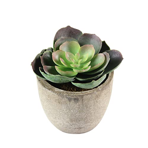 Amosfun Plantas De Simulación Plantas Artificiales Planta Suculenta Falsa Falso Suculento Green