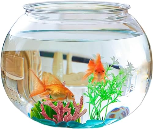G 　手渡し45センチ　アクリル水槽　2台セット アクリル 水槽 45cm」の人気商品一覧 | 安い商品を通販サイト