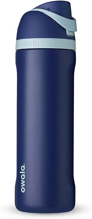 Owala Harry Potter FreeSip Insulated Stainless Steel Water Bottle with Straw BPA-Free Sports Water Bottle Great for Travel