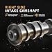 JAVOUKA 5047913AA Right Side Intake Camshaft, for Jeep Wrangler/Grand Cherokee/Gladiator,for Dodge Durango,for RAM 1500/Promaster, for Chrysler Pacifica/Voyager, 3.6L, 16-24, 5047913AD,05047913AB