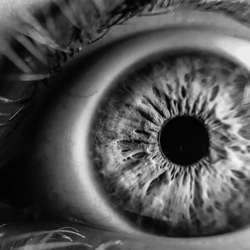 איך המרחב מיוצג במוח ומה עושה העין כשהיא מביטה? | פרופ' יורם בורק