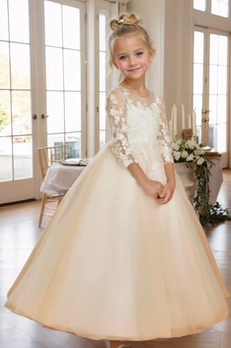 Lace Applique Flower Girl Dress for Wedding Puffy Tulle First Communion Dress for Girls 2025 Toddlers Pageant Party Gowns3