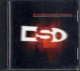 Divine Sou (Pp Sales Forces)