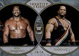 2018 Topps Legends of WWE Identity Crisis Duals Silver #IC-17 Faarooq/Ron Simmons 10/50 Wrestling...