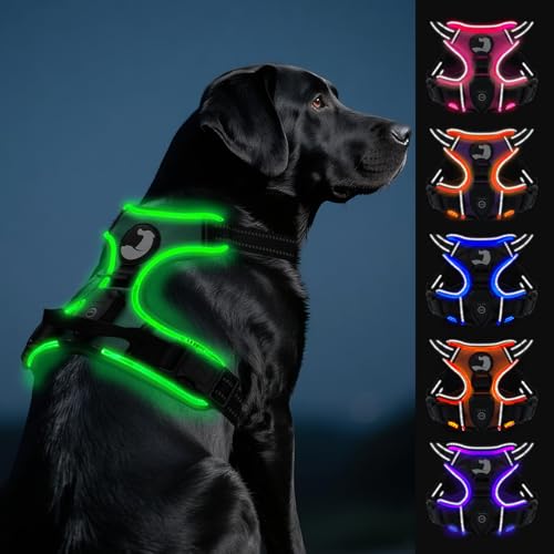 Joytale Light Up Dog Harness, No Pull Dog Harness USB Rechargeable for Night Walking with 3 Lightning Modes and Soft Handle, Adjustable Reflective Lighted Safety Vest,Green, L