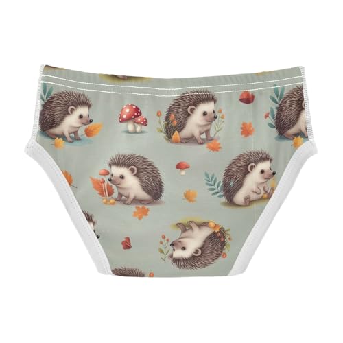CHIFIGNO Boys' Briefs Cute Hedgehog Mushroom Toddler Boys Underwear Soft Cotton Briefs Underwear2