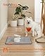 Feandrea Hundedecke, 2er Set, Wiederverwendbare Hundematte, 61 x 46 cm, S, wasserdicht, auslaufsicher, rutschfest, saugfähig für Hunde, Katzen, Kaninchen, Taubengrau PTD001G01