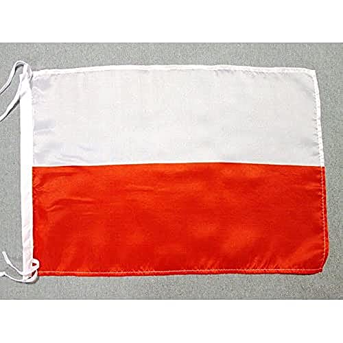 AZ FLAG - Drapeau Pologne - 45x30 cm - Pavillon Polonais Polyester Léger Avec Deux Cordelettes - 20g