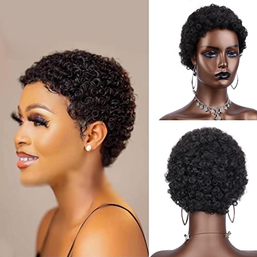Short Afro Curly Wigs Kinky Curly Wigs For Black Women 100% remy Human Hair Short Wig Pixie Cut Wig Natural Black No Lace Wig Boy Hairstyle Kinky Jerry Curly Wigs (Short Afro Curl Wig(#1)