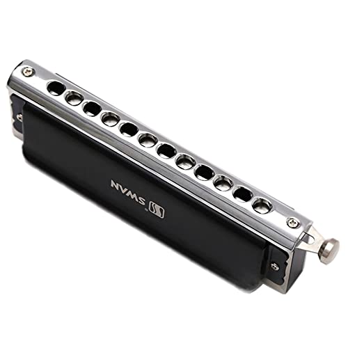 Harmonica Harmonica coloré 12 trous 48 touches d’orgue à bec C instrument professionnel phosphore bronze alliage anches - Les Beatles, Paul McCartney, John Lennon, RIngo Starr, George Harrison Harmonica Harmonica coloré 12 trous 48 touches d'orgue à bec C instrument professionnel phosphore bronze alliage anches – Image 5